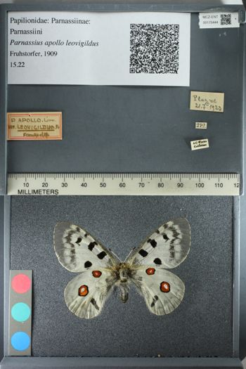 Media type: image;   Entomology 175444